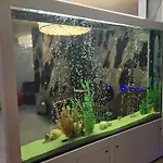 Primavera Atlantis 부르가스