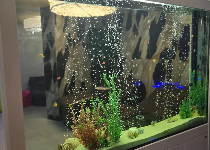 Primavera Atlantis Бургас