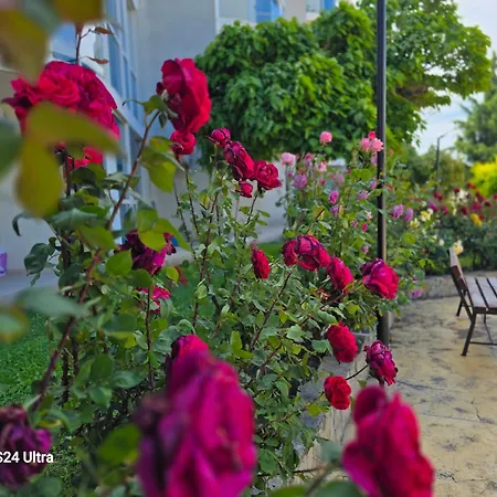 Apartman Primavera Atlantis *